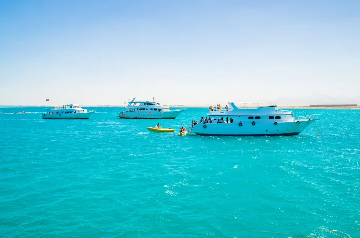 Sahl Hasheesh: Magawish Island & Snorkeling w Buffet Lunch - Image 8
