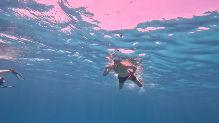 Port Ghalib: Rejs snorkelingowy z delfinami na rafach Sataya z lunchem - View (21 of 32)