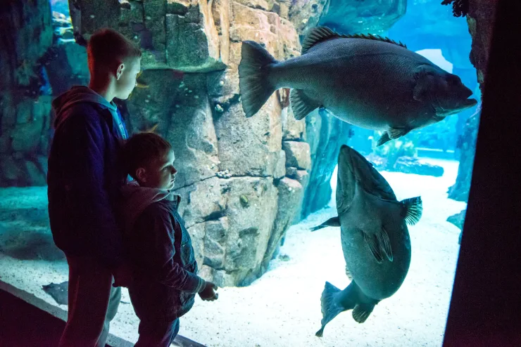 Sahl Hasheesh: Grand Aquarium & Zoo Tickets with Transfers - Image 8
