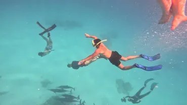 Marsa Alam: Rejs na obserwację delfinów ze snorkelingiem i lunchem - Scenery (2 of 19)