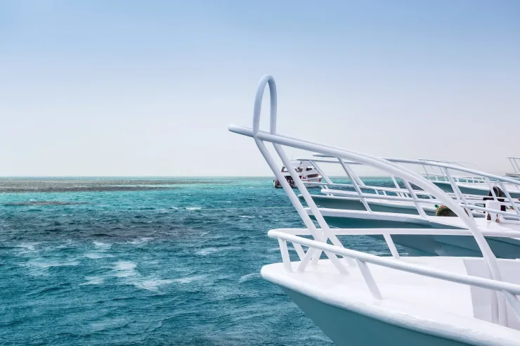 Sahl Hasheesh: Wycieczka łodzią do Dolphin House z prywatnym transferem – zdjęcie 10