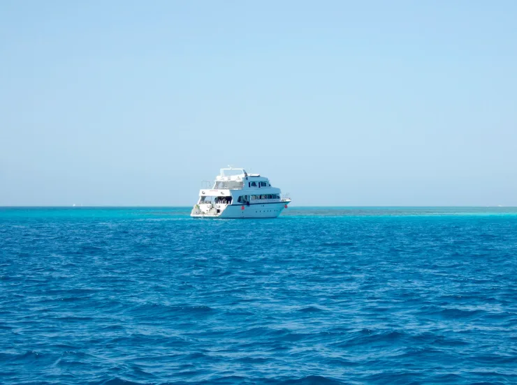Sahl Hasheesh: Magawish Island & Snorkeling w Buffet Lunch - Image 2