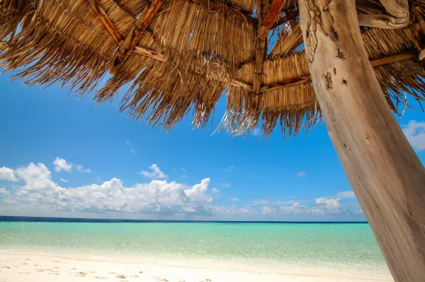Sahl Hasheesh: Giftun Island & Orange Bay Boat Day Trip