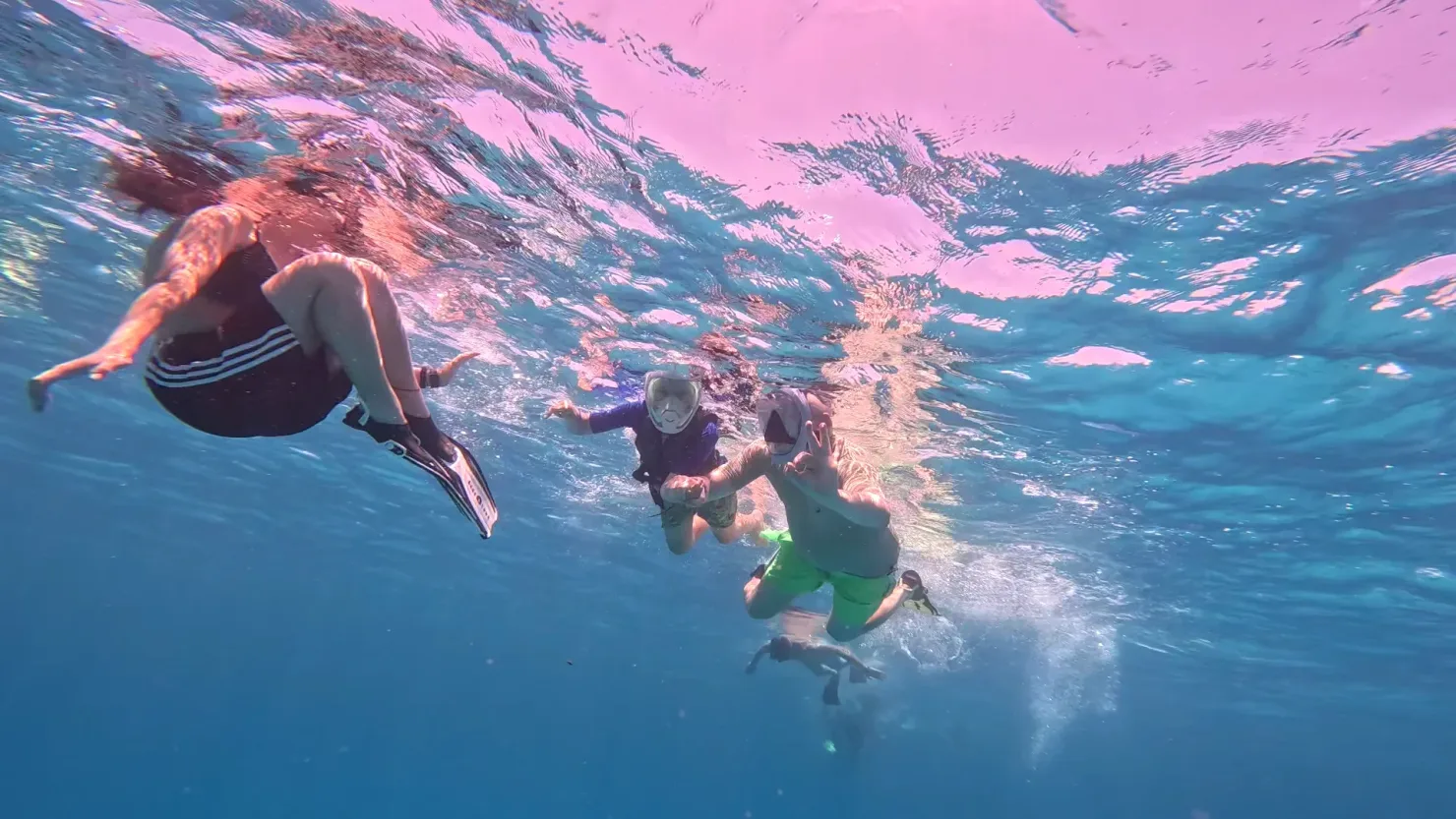Marsa Alam: Rejs na obserwację delfinów ze snorkelingiem i lunchem - View (12 of 19)