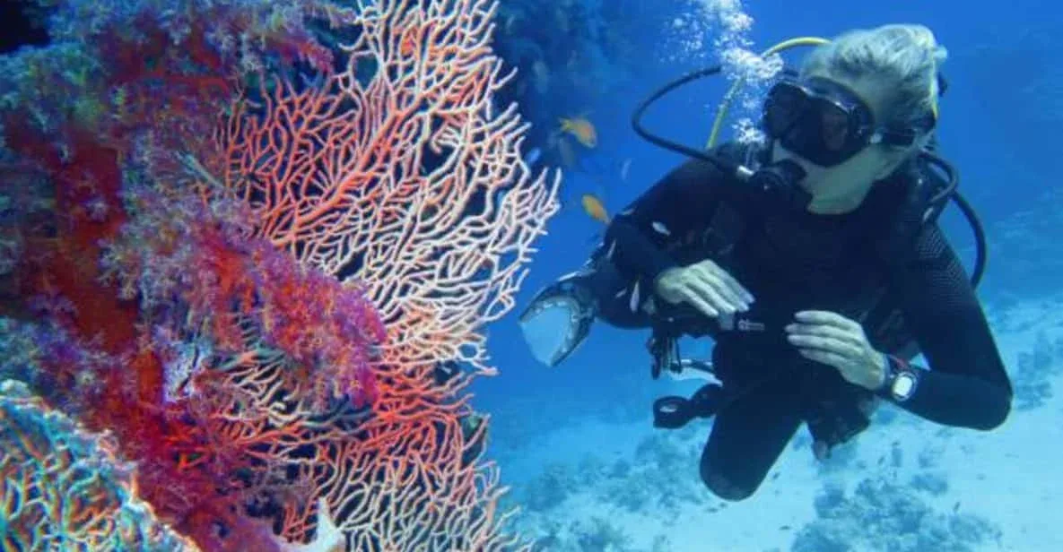 Z Marsa Alam: Jednodniowa wycieczka nurkowania dla początkujących z lunchem - Scenery (2 of 23)