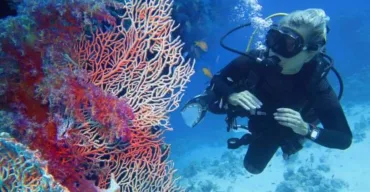Z Marsa Alam: Jednodniowa wycieczka nurkowania dla początkujących z lunchem - Scenery (2 of 23)