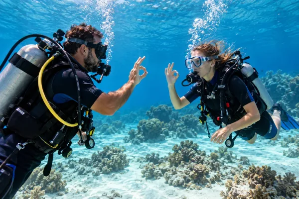 Порт-Галиб: Однодневная поездка для начинающих дайверов с обедом