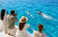 Sahl Hasheesh: Bådtur med delfinkiggeri og snorkling