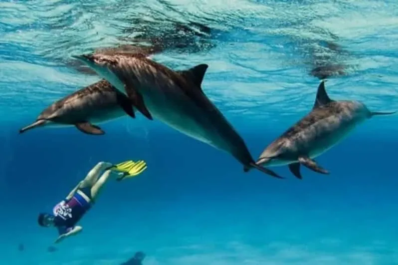 Hurghada: Catamaran Sailing Cruise with Snorkeling and Lunch - Photo 5