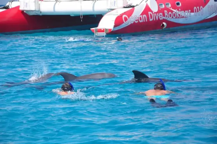 Hurghada: Catamaran Sailing Cruise with Snorkeling and Lunch - Photo 10