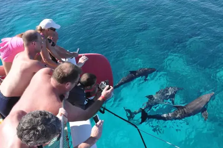Hurghada: Catamaran Sailing Cruise with Snorkeling and Lunch - Photo 11