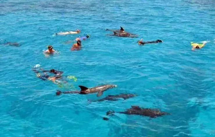 Hurghada: Catamaran Sailing Cruise with Snorkeling and Lunch - Photo 12