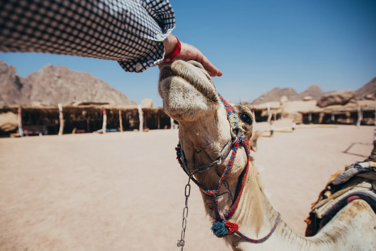 Hurghada: Luxor, Safari, Orange Bay & Cairo with Transfers - Photo 61