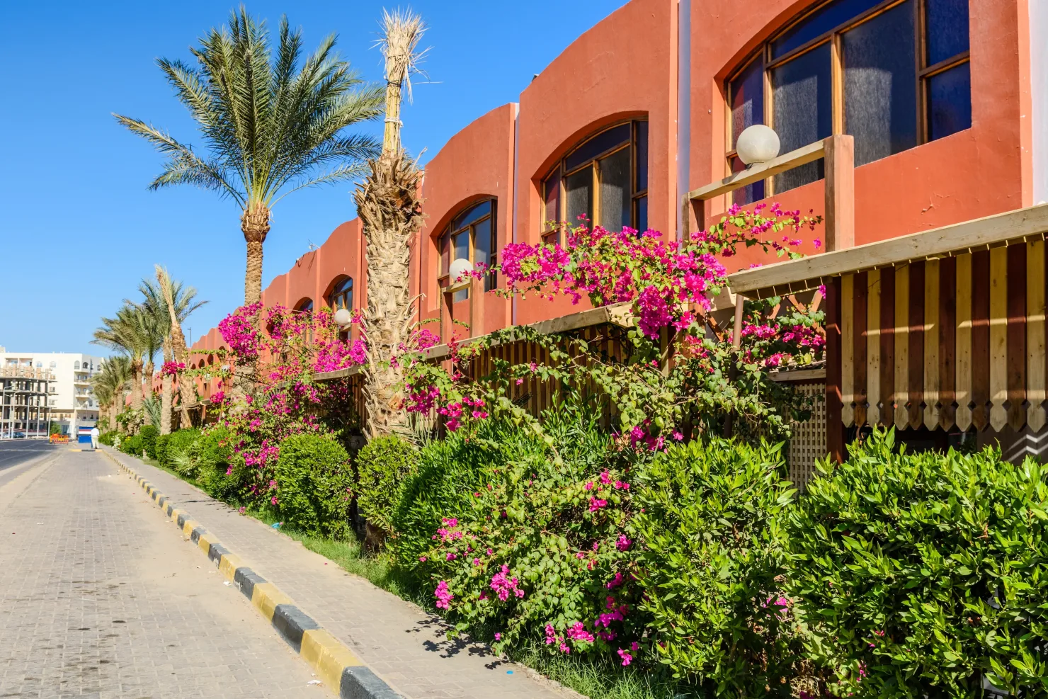 Hurghada: Guided City Highlights Tour with Optional Shopping Stops - Photo 19