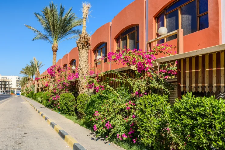 Hurghada: Guided City Highlights Tour with Optional Shopping Stops - Photo 19