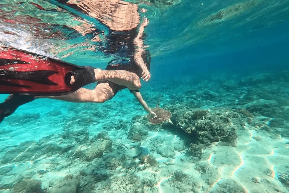 Orange Bay Island: The Egyptian Maldives Experience with Snorkeling & Lunch - Photo 16