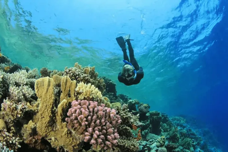 Orange Bay Island: The Egyptian Maldives Experience with Snorkeling & Lunch - Photo 23