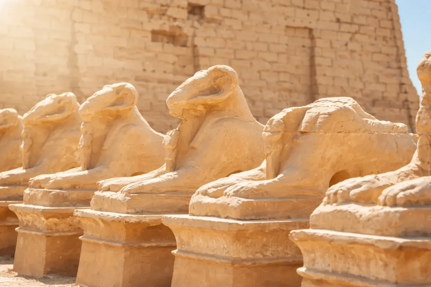 Hurghada: Luxor Day Trip to Valley of the Kings, Karnak & Hatshepsut Temple - Photo 2