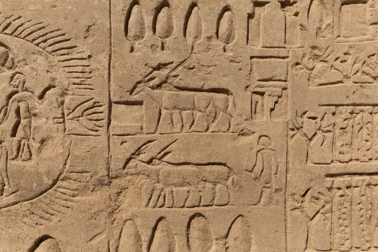 Hurghada: Luxor Day Trip to Valley of the Kings, Karnak & Hatshepsut Temple - Photo 19