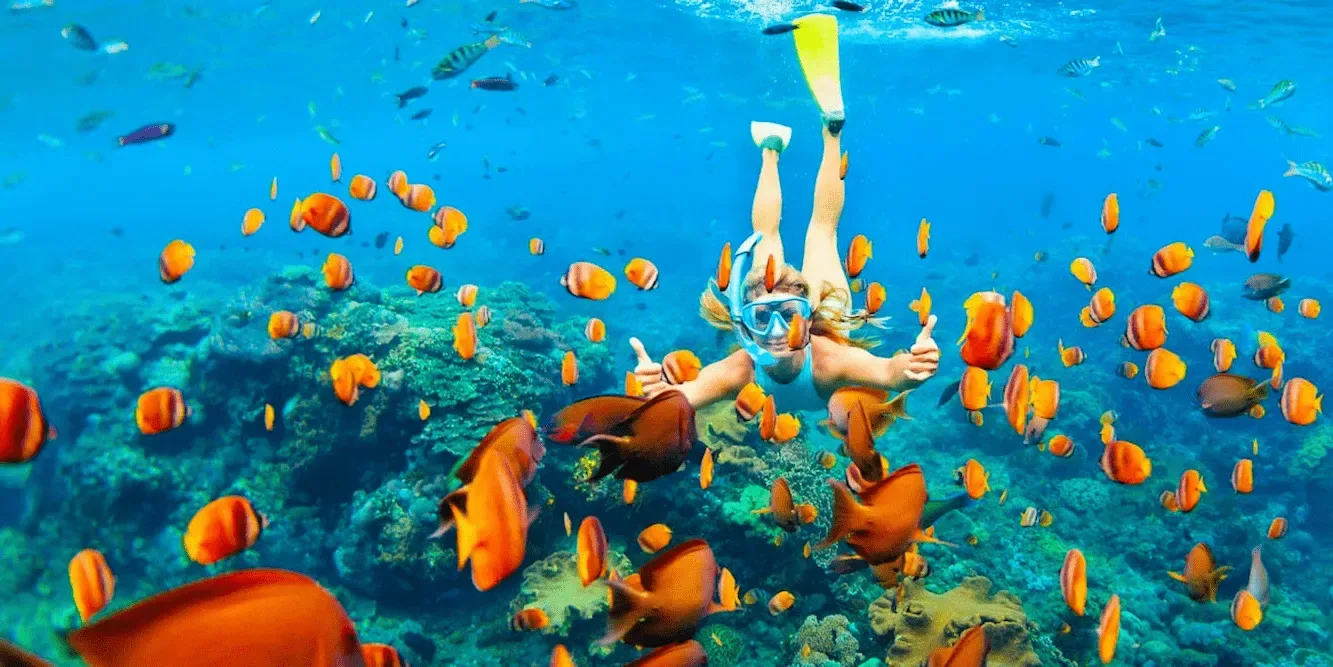 Hurghada: Giftun Island Tour with Snorkeling & Buffet Lunch - Photo 4