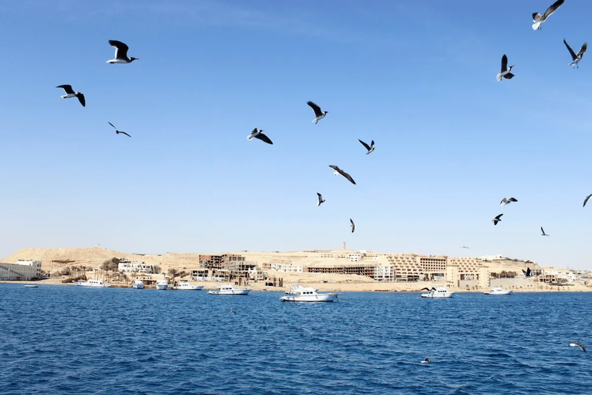 Hurghada: Giftun Island Tour with Snorkeling & Buffet Lunch - Photo 18