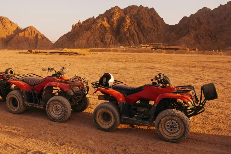 Hurghada: Quad, Jeep, Camel, and Buggy Safari with BBQ Dinner - Photo 20