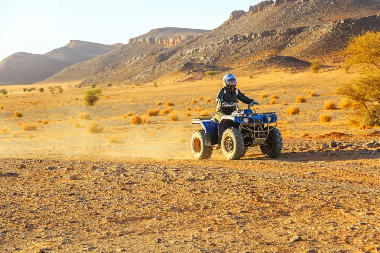 Hurghada: Quad, Jeep, Camel, and Buggy Safari with BBQ Dinner - Photo 33