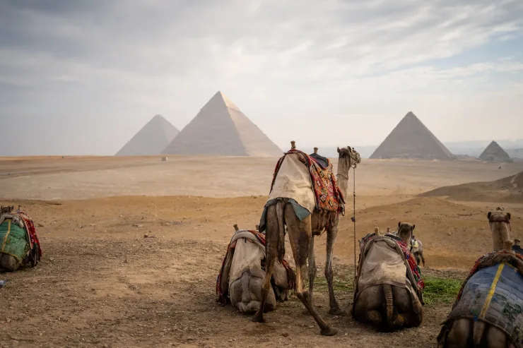Cairo: Pyramids & Sphinx Tour with Grand Egyptian Museum - Photo 34