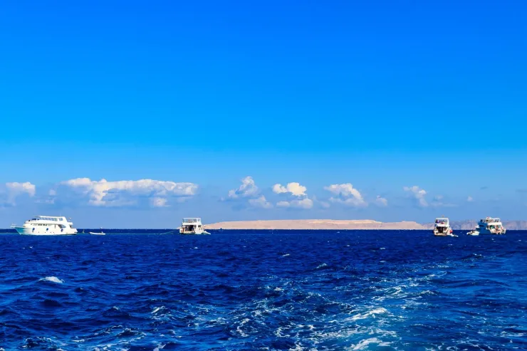 Sahl Hasheesh: Orange Island Speedboat, Snorkeling & Parasailing - Photo 6