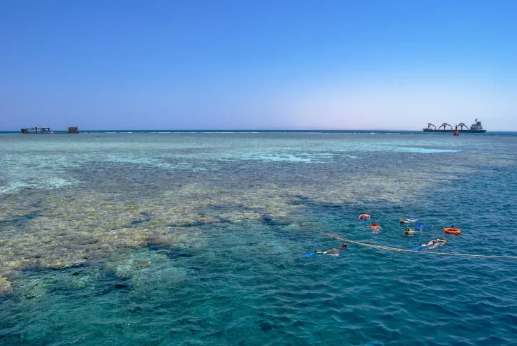 Sahl Hasheesh: Orange Island Speedboat, Snorkeling & Parasailing - Photo 10
