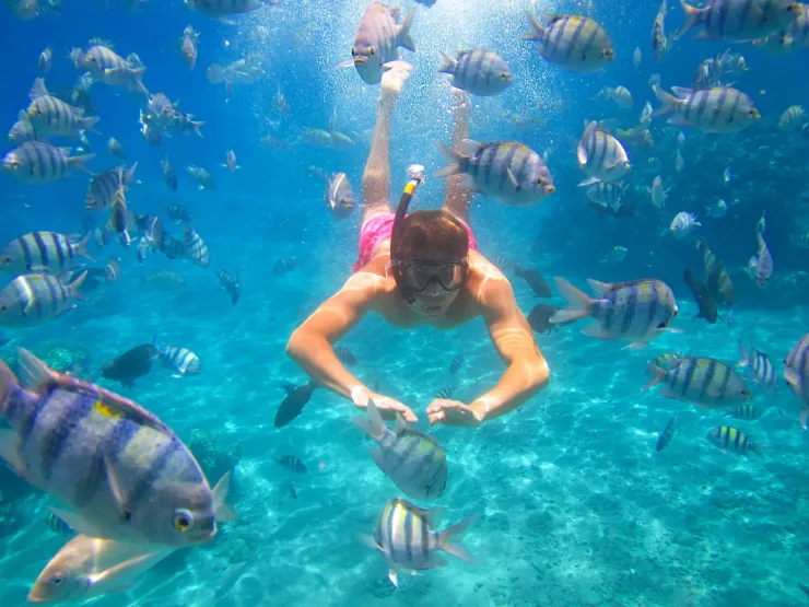 Sahl Hasheesh: Orange Island Speedboat, Snorkeling & Parasailing - Photo 5