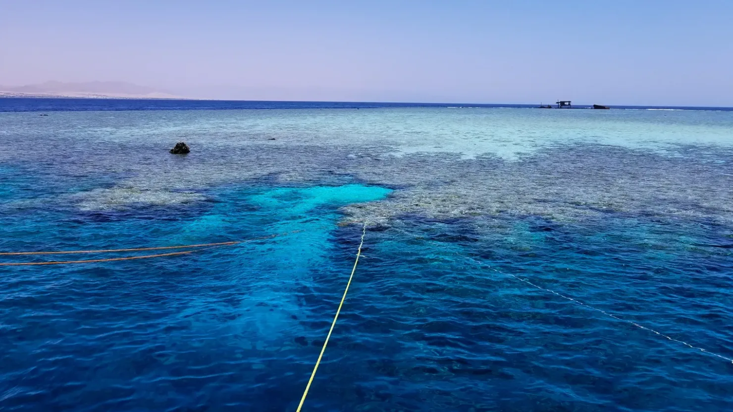 Sahl Hasheesh: Orange Island Speedboat, Snorkeling & Parasailing - Photo 14