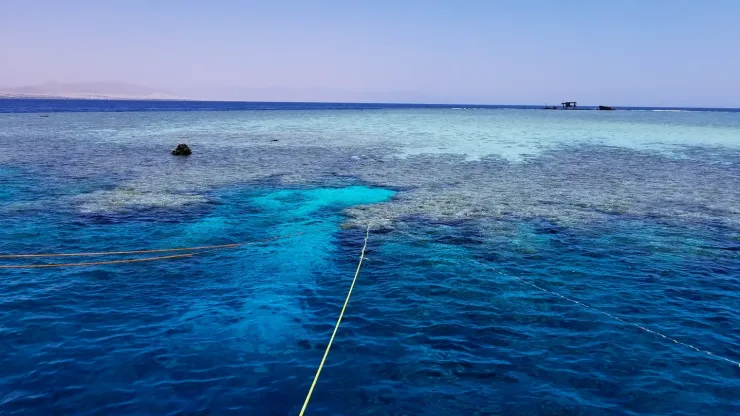 Sahl Hasheesh: Orange Island Speedboat, Snorkeling & Parasailing - Photo 14