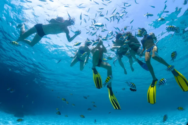Sahl Hasheesh: Orange Island Speedboat, Snorkeling & Parasailing - Photo 22