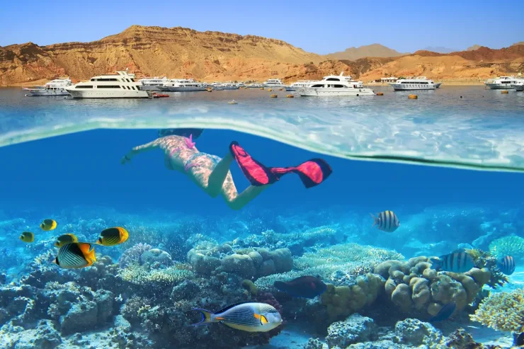 Sahl Hasheesh: Orange Island Speedboat, Snorkeling & Parasailing - Photo 31