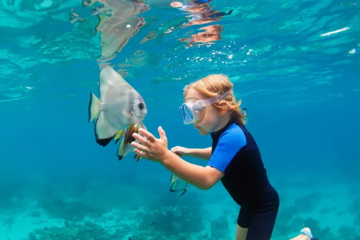 Sahl Hasheesh: Orange Island Speedboat, Snorkeling & Parasailing - Photo 46