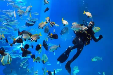Hurghada: Orange Island with Lunch, Scuba Diving, and Parasailing - Photo 3