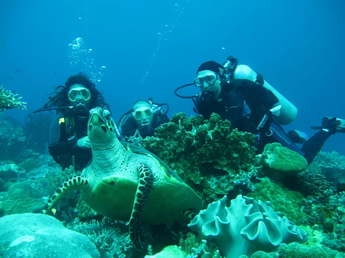 Hurghada: Orange Island with Lunch, Scuba Diving, and Parasailing - Photo 14