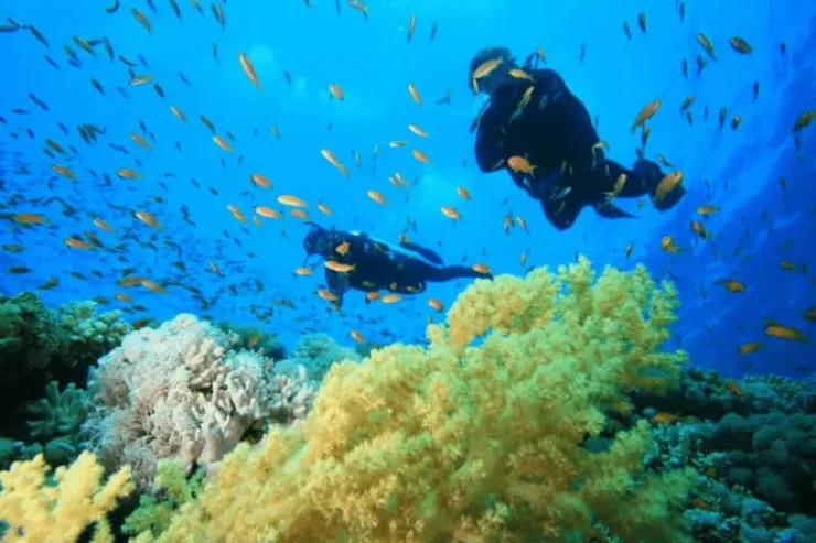 Hurghada: Orange Island with Lunch, Scuba Diving, and Parasailing - Photo 28