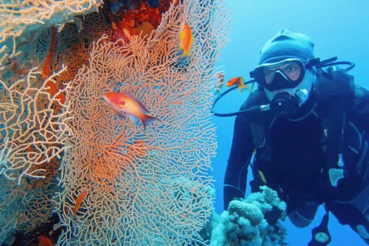 Hurghada: Giftun & Orange Bay Tour with Snorkeling & Lunch - Photo 24