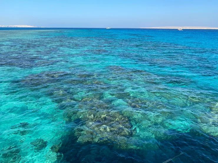 Red Sea: Orange Bay and Snorkeling Cruise Tour with Lunch - Photo 22