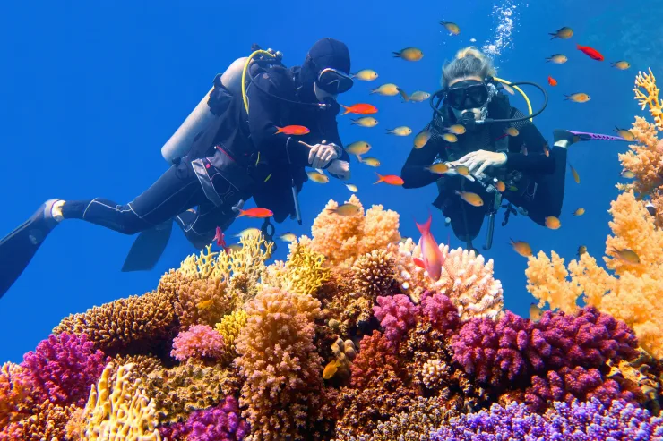 Red Sea: Orange Bay and Snorkeling Cruise Tour with Lunch - Photo 28