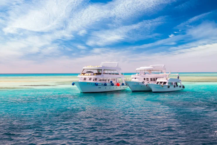 Red Sea: Orange Bay and Snorkeling Cruise Tour with Lunch - Photo 12