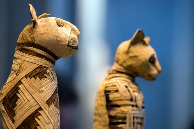 From El Gouna: Hurghada City Tour & The National Museum - Photo 12