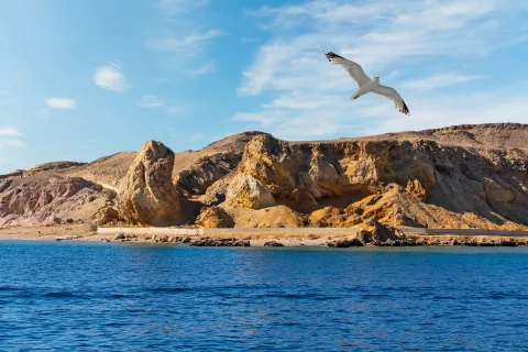 Egyptian Adventures