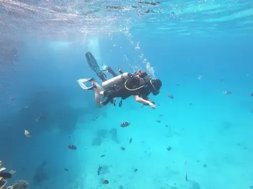 Scuba diving tour at Orange Bay Hurghada - diver exploring vibrant coral reef surrounded by colorful tropical fish in the crystal-clear Red Sea