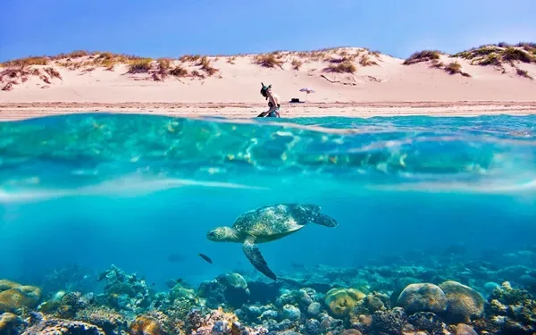 Water activities in Orange Bay Hurghada - vibrant underwater scene showing colorful coral reefs and tropical fish in crystal-clear Red Sea waters