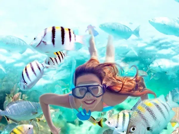 Snorkeling at Orange Bay Hurghada - tourists exploring vibrant coral reefs and colorful tropical fish in crystal-clear Red Sea waters