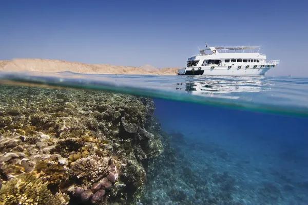 Tour di un giorno al Parco di Ras Mohammed e al Magic Lake da Sharm El Sheikh