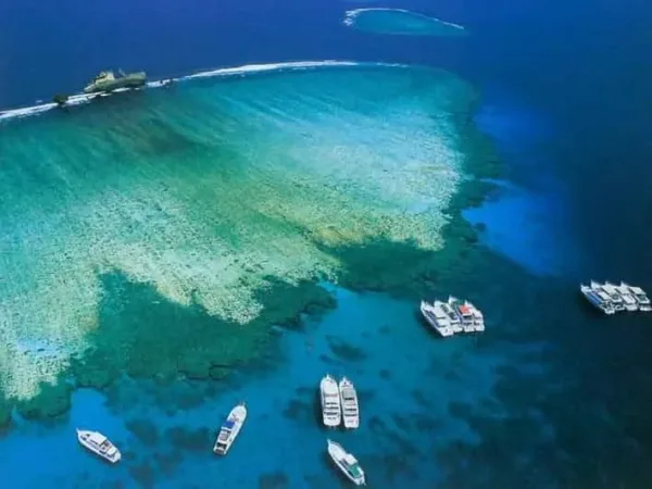 Tiran Island coral reefs and pristine waters
